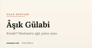 Bağlama tutan bir ozanın silüeti