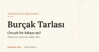 Burçak Tarlası türküsünün hikayesi: Anadolu tarlası ve gelin teması, bağlama motifli kapak görseli.