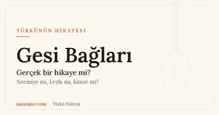 Gesi Bağları türküsünün hikayesi: Kayseri'nin Gesi bağlarını çağrıştıran, bağlama motifli kapak görseli.