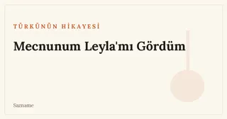 Mecnunum Leyla'mı Gördüm türküsü ve İğdecikli Âşık Veli üzerine Sazname dosyası kapağı