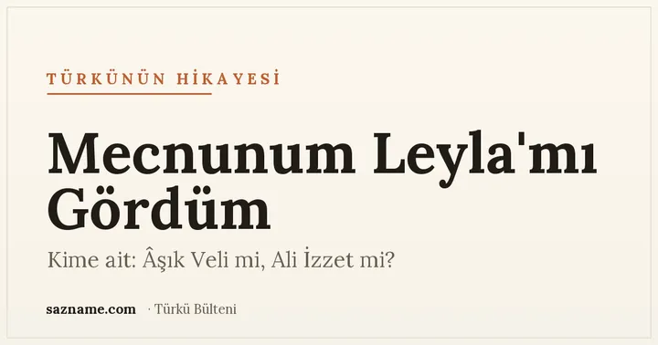 Mecnunum Leyla'mı Gördüm türküsü ve İğdecikli Âşık Veli üzerine Sazname dosyası kapağı